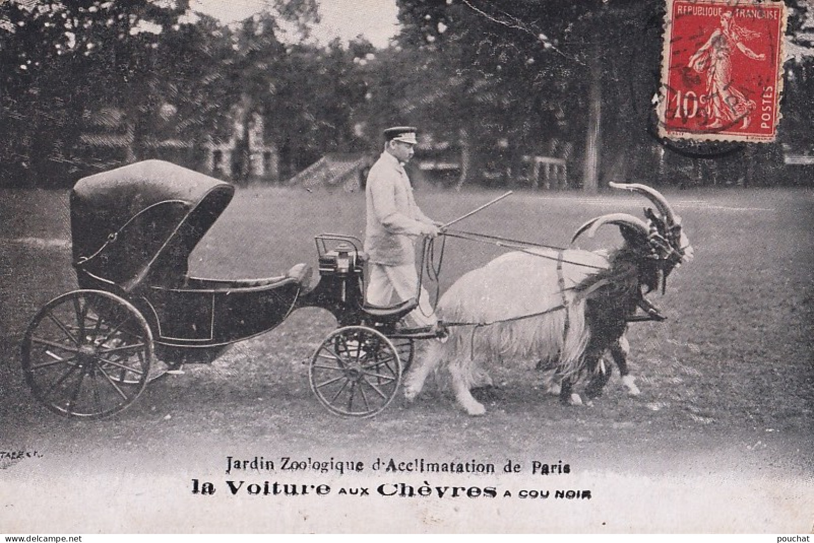 C24-75) PARIS (XVI°) JARDIN ZOOLOGIQUE D'ACCLIMATATION - LA VOITURE AUX CHEVRES A COU NOIR - EN 1908 - Arrondissement: 16