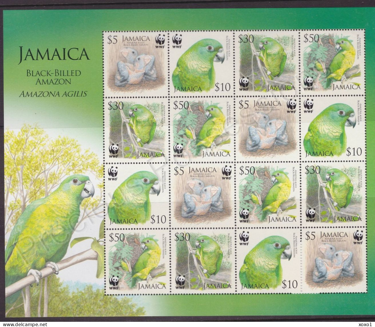 Jamaica 2006 MiNr. 1122 - 1125 Jamaika WWF Birds, Parrots, Black-billed Amazon M/sh MNH** 12.80 € - Jamaica (1962-...)