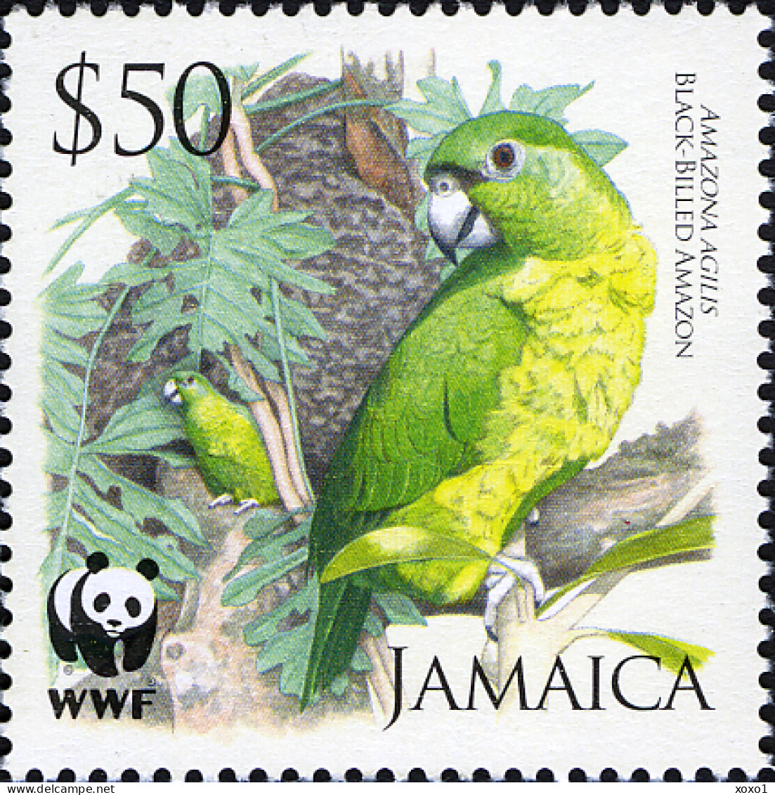 Jamaica 2006 MiNr. 1122 - 1125 Jamaika WWF Birds, Parrots, Black-billed Amazon M/sh MNH** 12.80 € - Jamaica (1962-...)