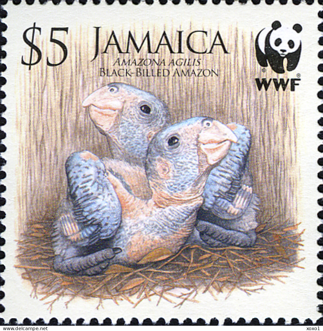 Jamaica 2006 MiNr. 1122 - 1125 Jamaika WWF Birds, Parrots, Black-billed Amazon M/sh MNH** 12.80 € - Jamaique (1962-...)