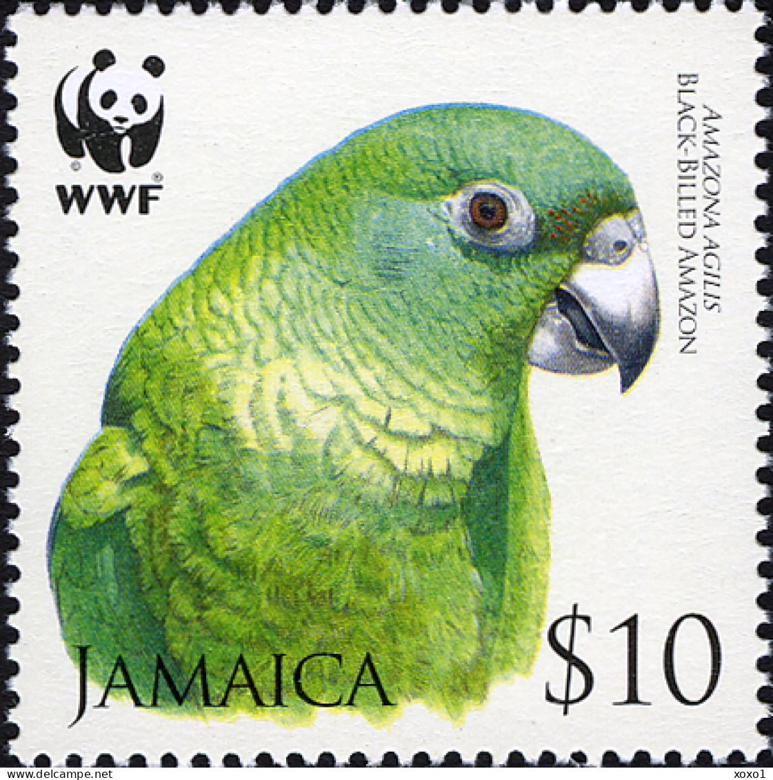 Jamaica 2006 MiNr. 1122 - 1125 Jamaika WWF Birds, Parrots, Black-billed Amazon M/sh MNH** 12.80 € - Jamaique (1962-...)