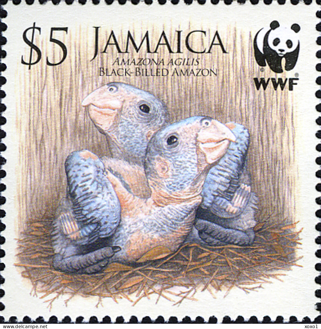 Jamaica 2006 MiNr. 1122 - 1125 Jamaika WWF Birds, Parrots, Black-billed Amazon M/sh MNH** 12.80 € - Perroquets & Tropicaux