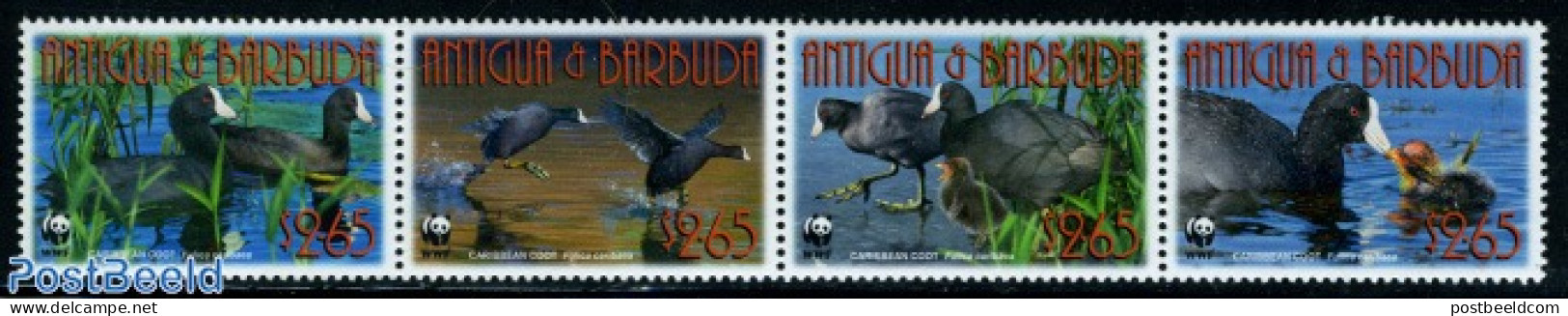 Antigua & Barbuda 2009 WWF, Caribbean Coot 4v [:::] Or [+], Mint NH, Nature - Birds - Ducks - World Wildlife Fund (WWF) - Antigua Et Barbuda (1981-...)