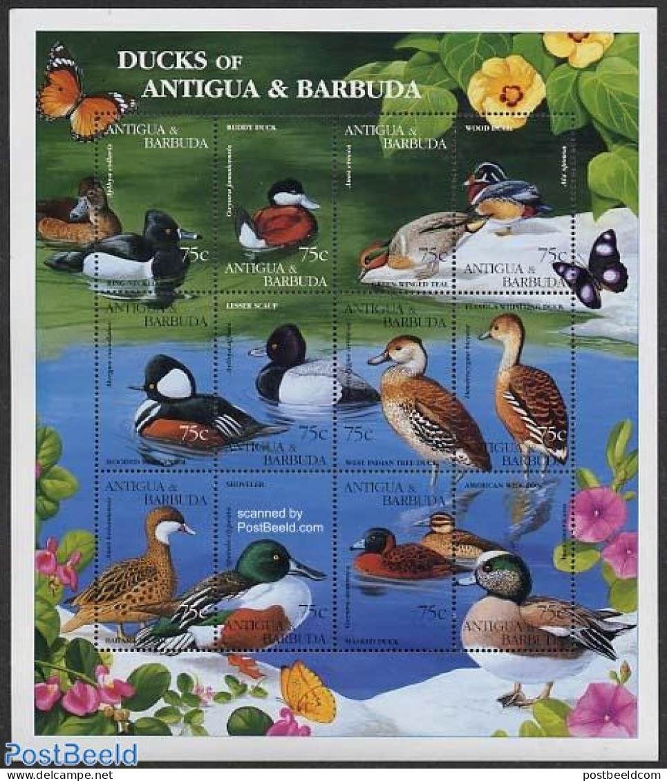 Antigua & Barbuda 1995 Ducks 12v M/s, Mint NH, Nature - Birds - Butterflies - Ducks - Antigua Y Barbuda (1981-...)