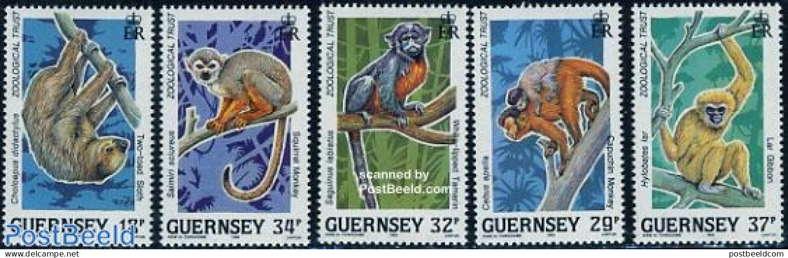 Guernsey 1989 Monkeys 5v, Mint NH, Nature - Animals (others & Mixed) - Monkeys - Guernesey