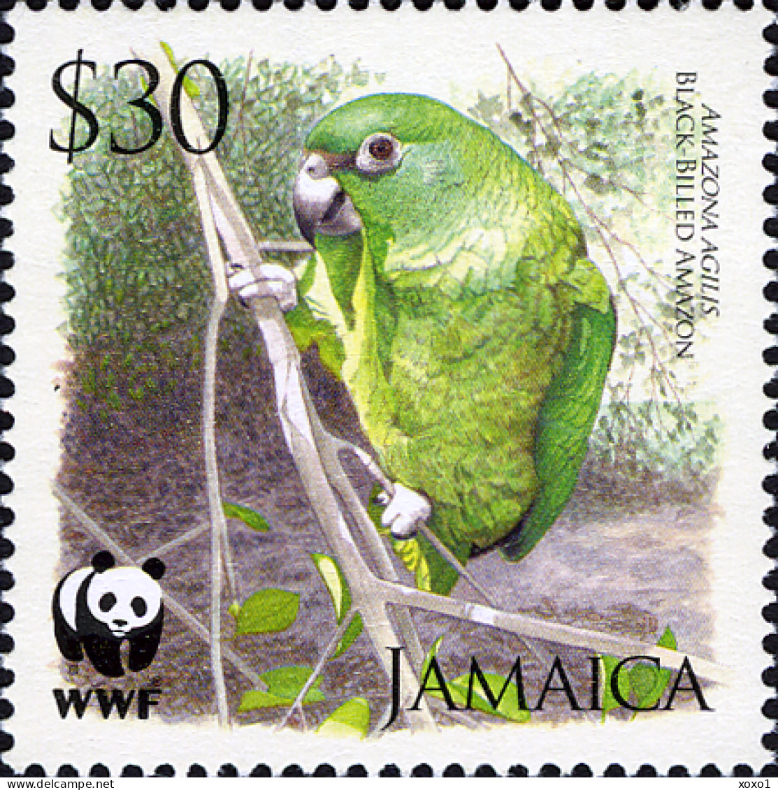 Jamaica 2006 MiNr. 1122 - 1125 Jamaika WWF Birds, Parrots, Black-billed Amazon 4v MNH** 3.20 € - Parrots
