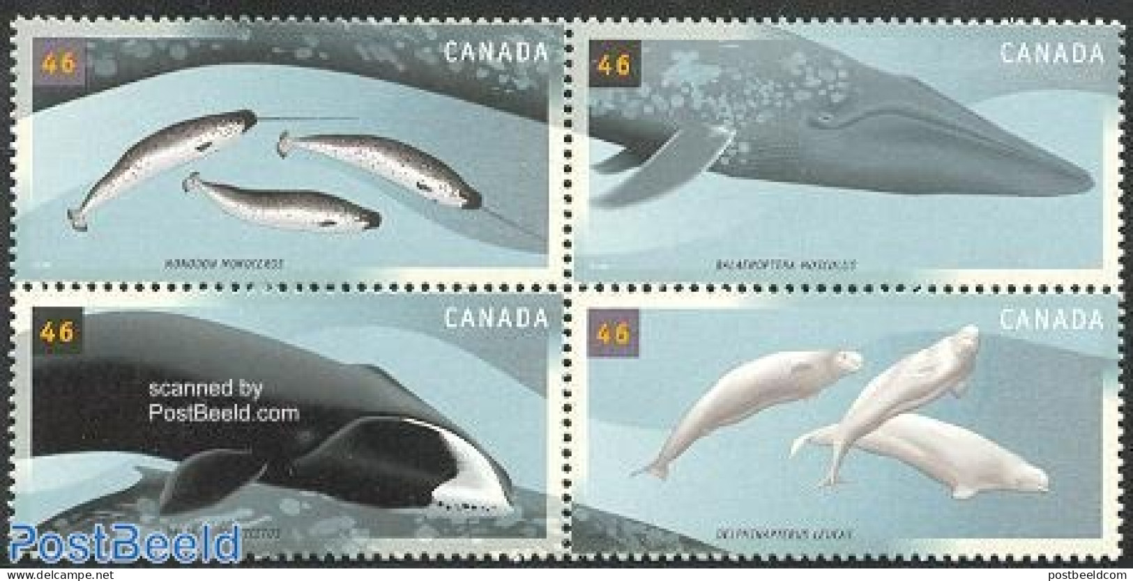 Canada 2000 Whales 4v [+], Mint NH, Nature - Sea Mammals - Neufs