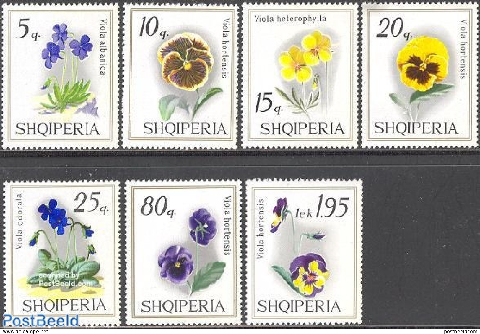 Albania 1969 Flowers 7v, Mint NH, Nature - Flowers & Plants - Albania