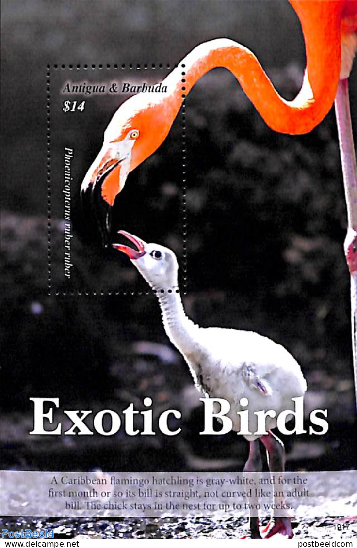 Antigua & Barbuda 2019 Flamingo S/s, Mint NH, Nature - Birds - Antigua Et Barbuda (1981-...)