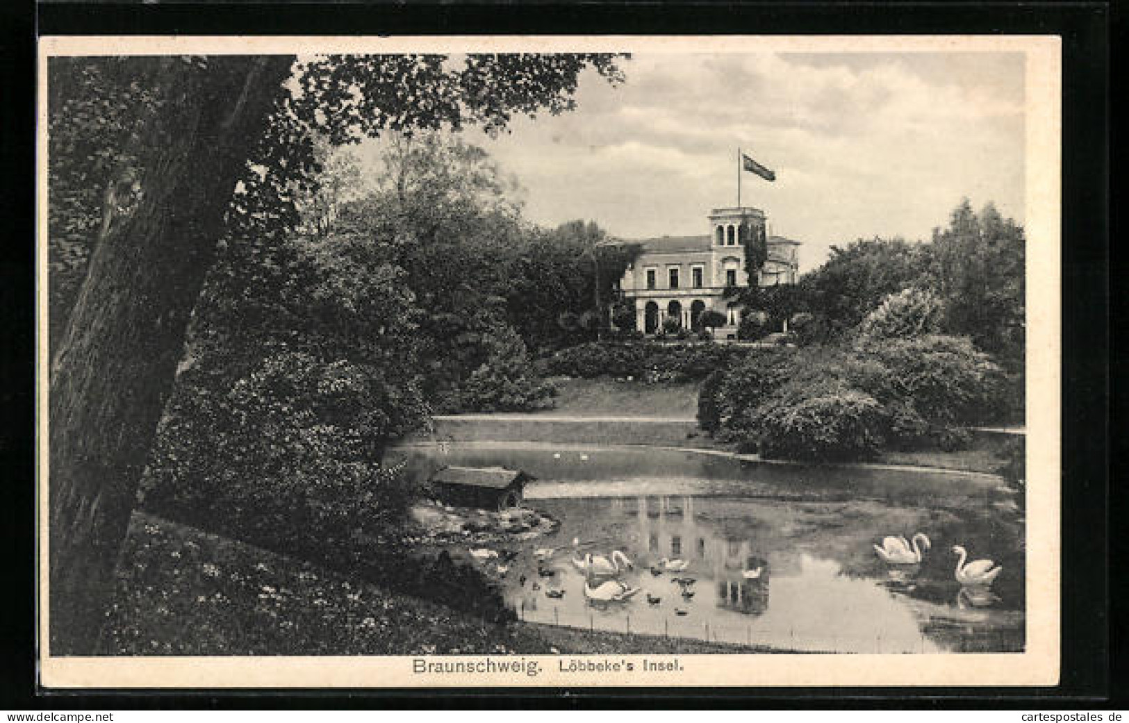 AK Braunschweig, Löbbeke`s Insel Mit Schwänen  - Braunschweig