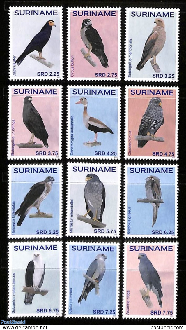 Suriname, Republic 2015 Birds 12v, Mint NH, Nature - Birds - Birds Of Prey - Ducks - Surinam
