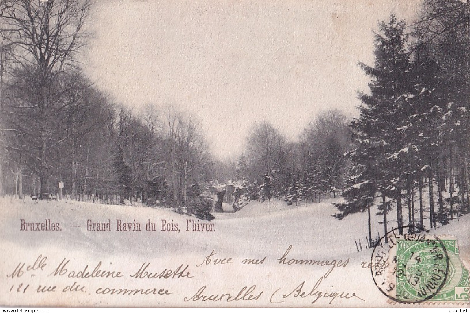 E3- BRUXELLES - GRAND  RAVIN  DU  BOIS - L ' HIVER - EN  1902 - Parks, Gärten