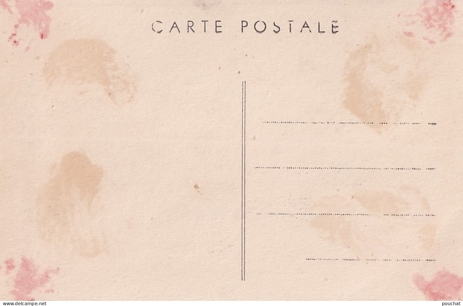 E6-47) CASTELJALOUX - PAYSAGE  AU  CHATEAU  DE SENDAT - ( 2 SCANS ) - Casteljaloux