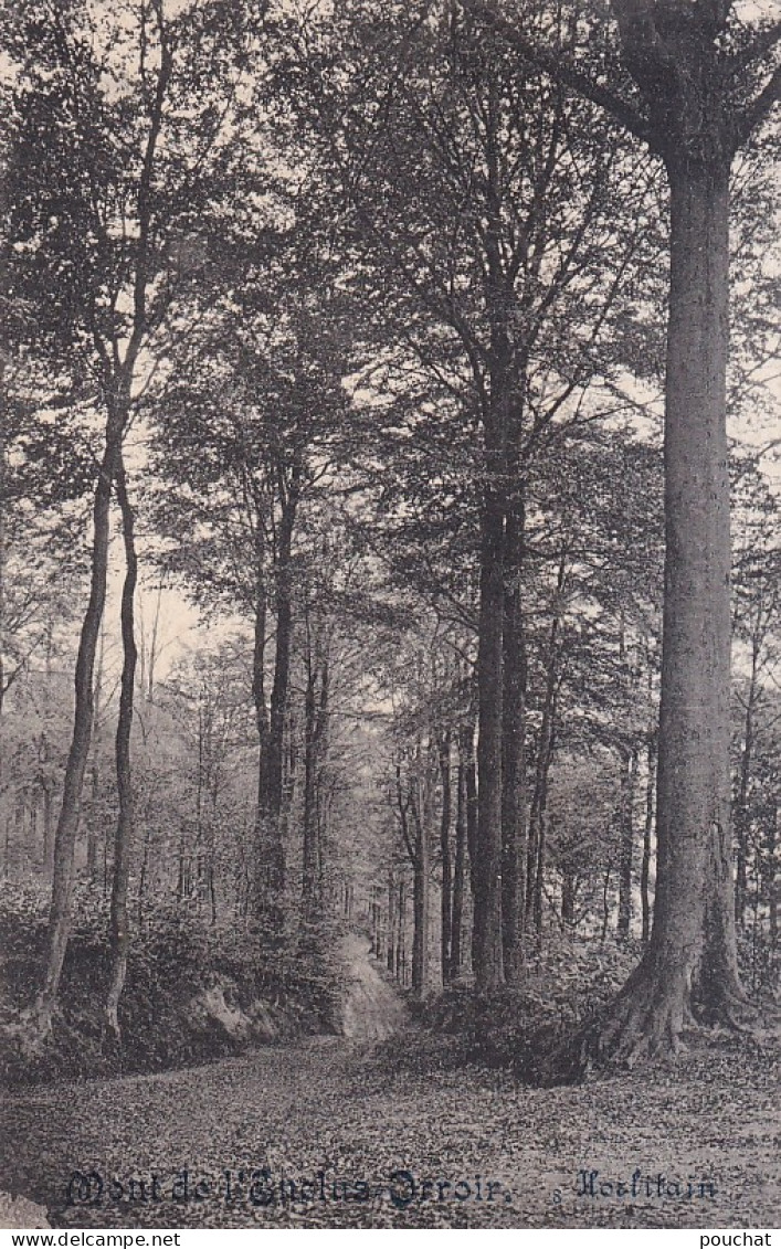 E8- ORROIR - MONT  DE L ' ENLUS  -  HORLITAIN - EN  1913 - ( 2 SCANS ) - Mont-de-l'Enclus