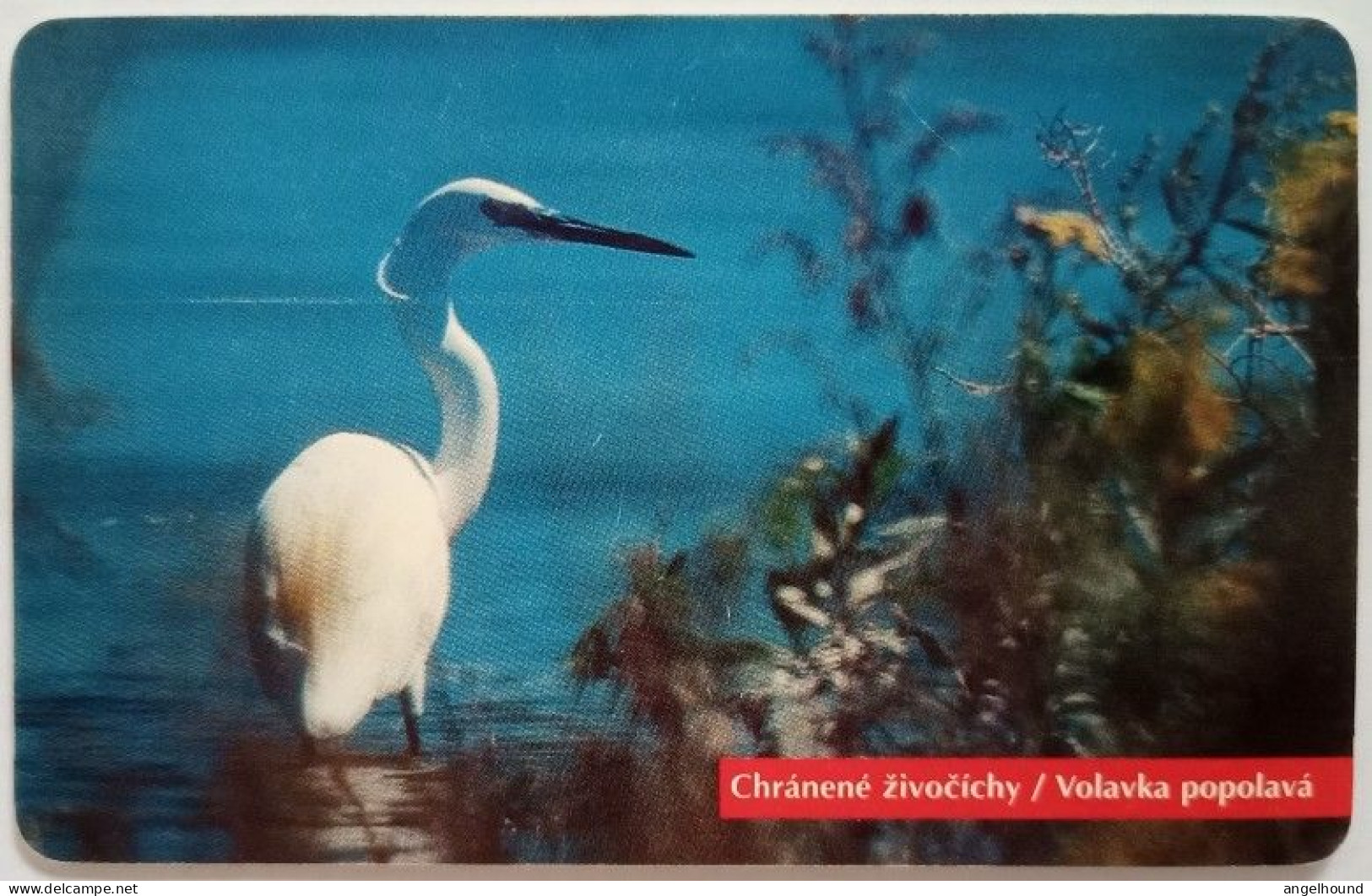 Slovakia 100 Units Chip Card - Volavka Popolava / Heron - Slovacchia