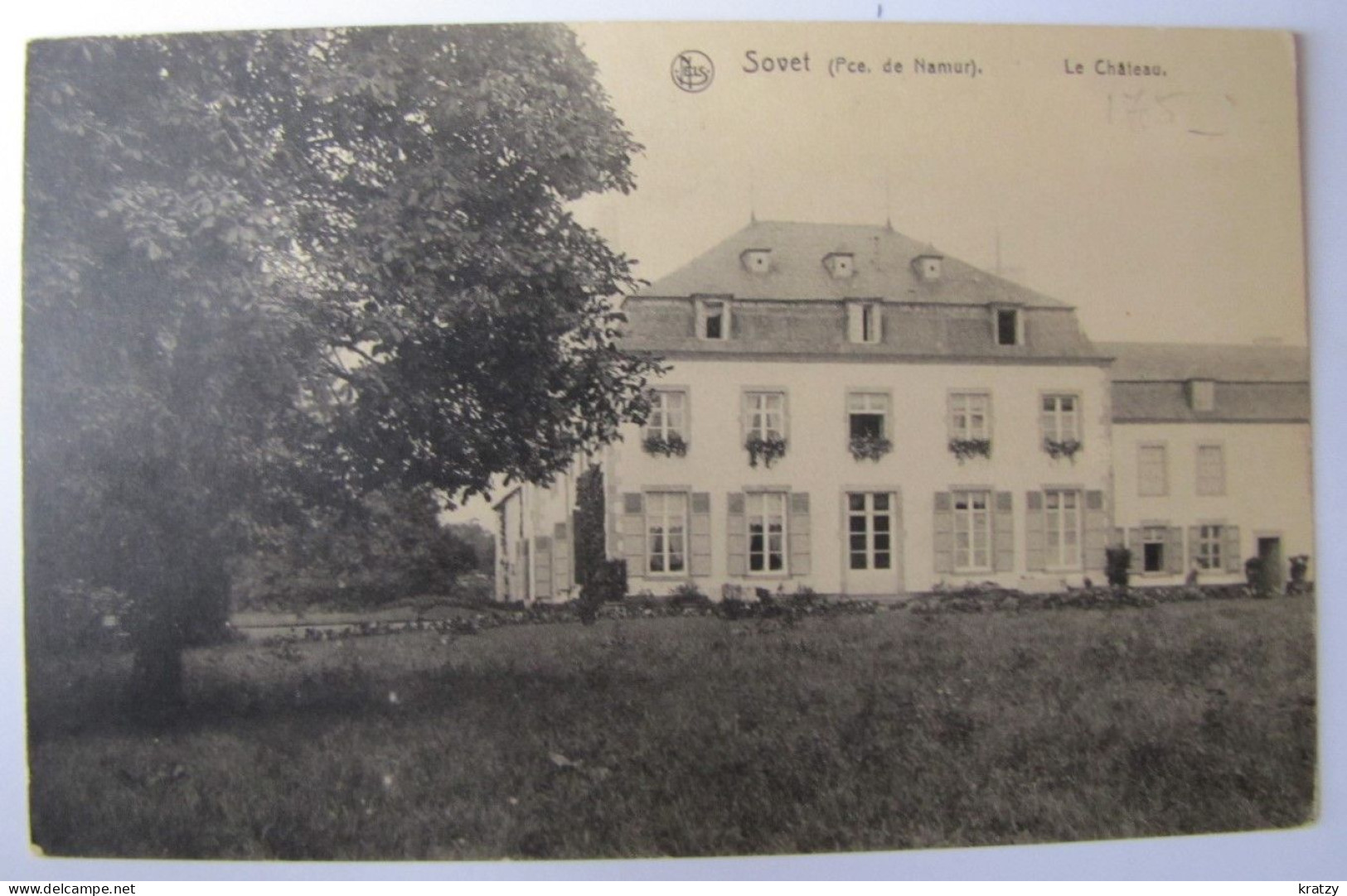 BELGIQUE - NAMUR - CINEY - SOVET - Le Château - Ciney