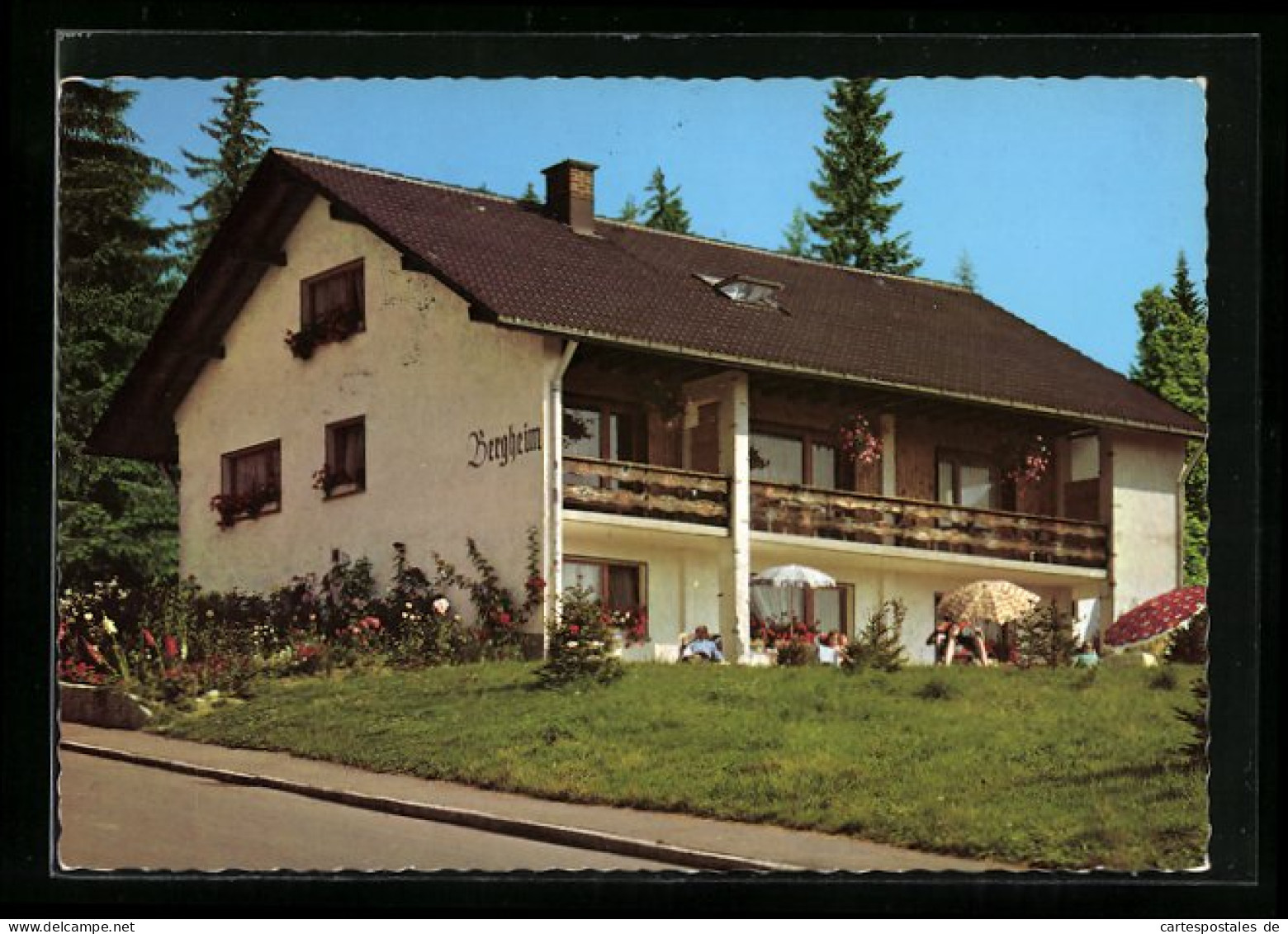 AK Schluchsee /Schwarzw., Pension Bergheim L. Behringer, Fichtenweg 198  - Schluchsee