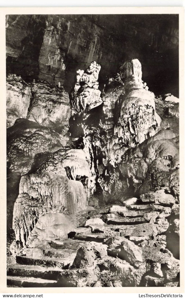 BELGIQUE - Les Grottes De Han Sur Lesse - Le Boudoir De Proserpine - Vue à L'intérieur - Carte Postale Ancienne - Rochefort