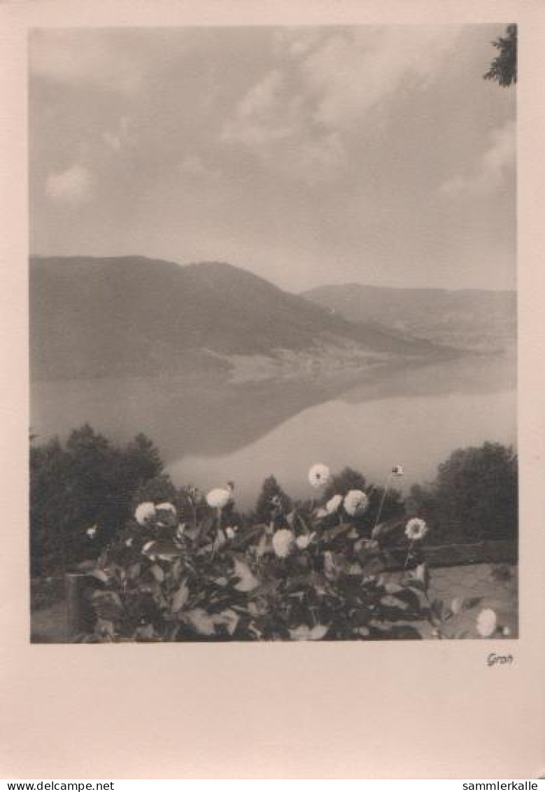 16775 - Schweiz - Aegerisee Im Kanton Zug - 1959 - Autres & Non Classés