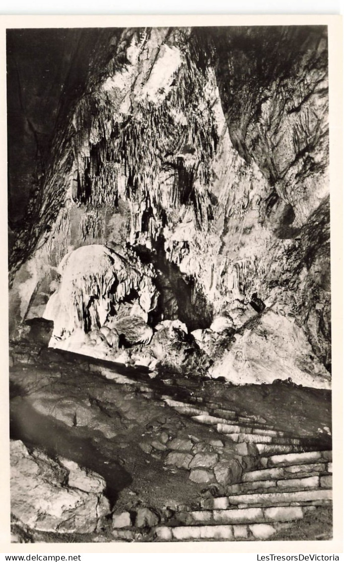 BELGIQUE - Les Grottes De Han Sur Lesse - Vue De La Salle Du Trophée - Vue à L'intérieur - Carte Postale Ancienne - Rochefort