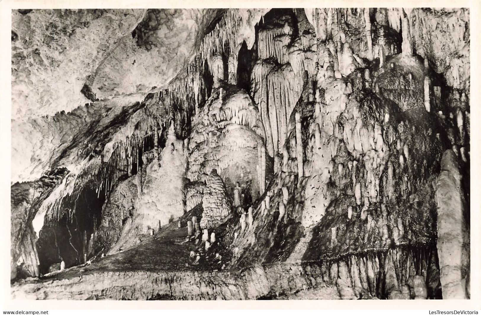 BELGIQUE - Les Grottes De Han Sur Lesse - La Merveilleuse - Vue à L'intérieur De La Grotte - Carte Postale Ancienne - Rochefort