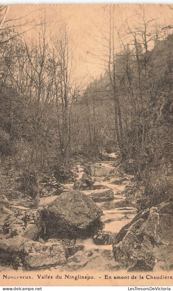 BELGIQUE - Noceveux - Vallée Du Ninglinspo - En Amont De La Chaudière - Vue Sur Une Ruisseau - Carte Postale Ancienne - Aywaille