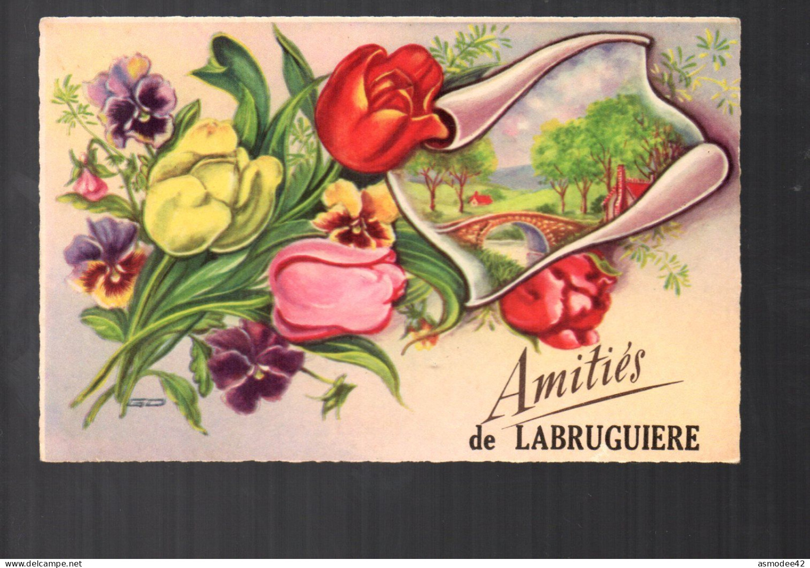 AMITIES  DE LABRUGUIERE - Labruguière