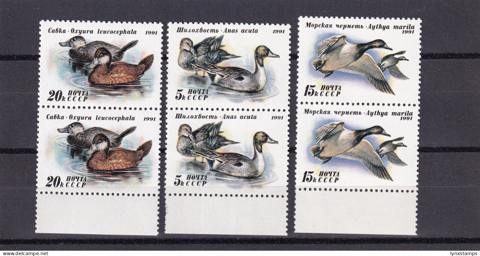 SA05 Russia USSR 1991 Ducks Mint Stamps - Ungebraucht