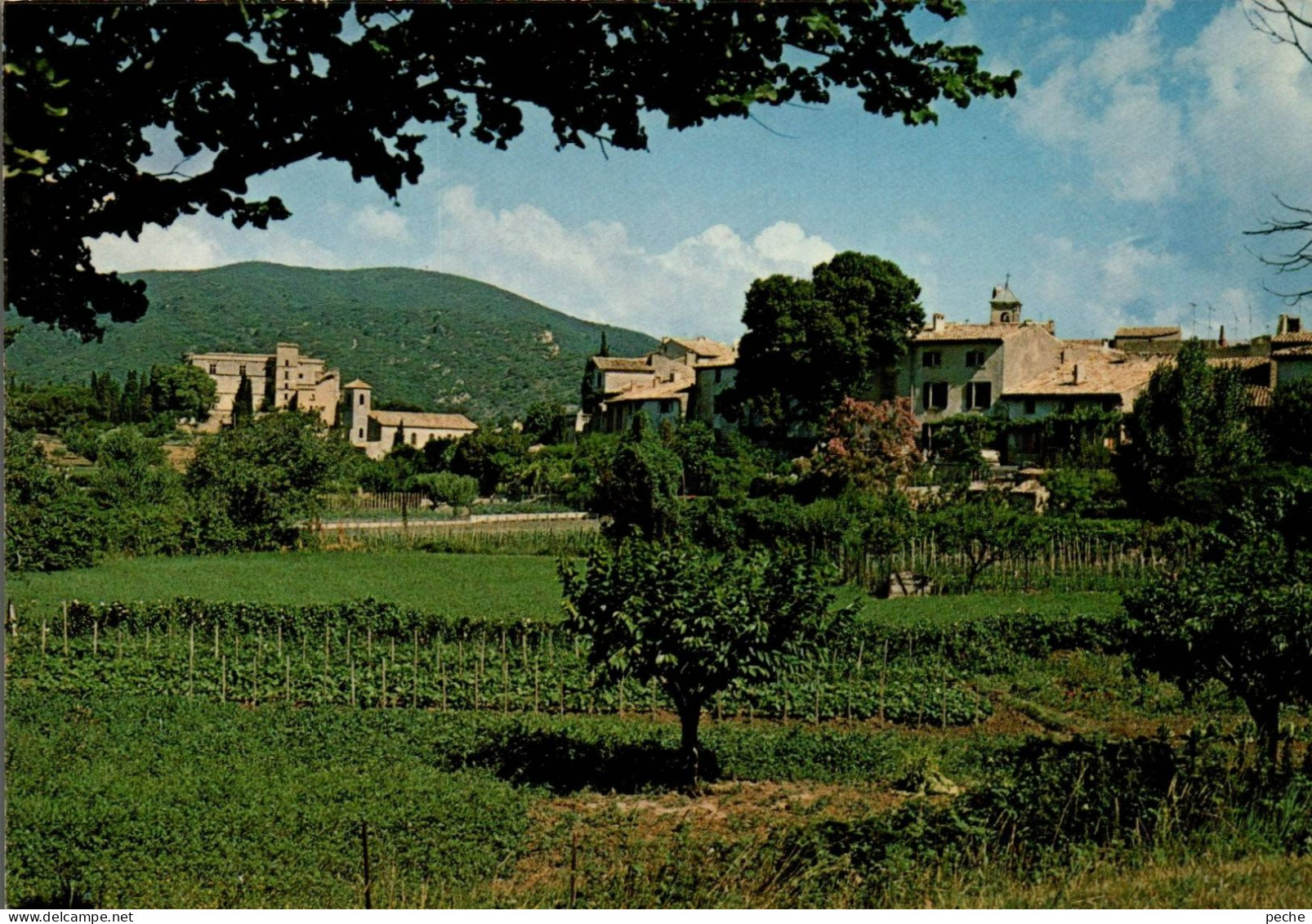 N°854 Z -cpsm Lourmarin -vue Générale Et Son Château- - Lourmarin