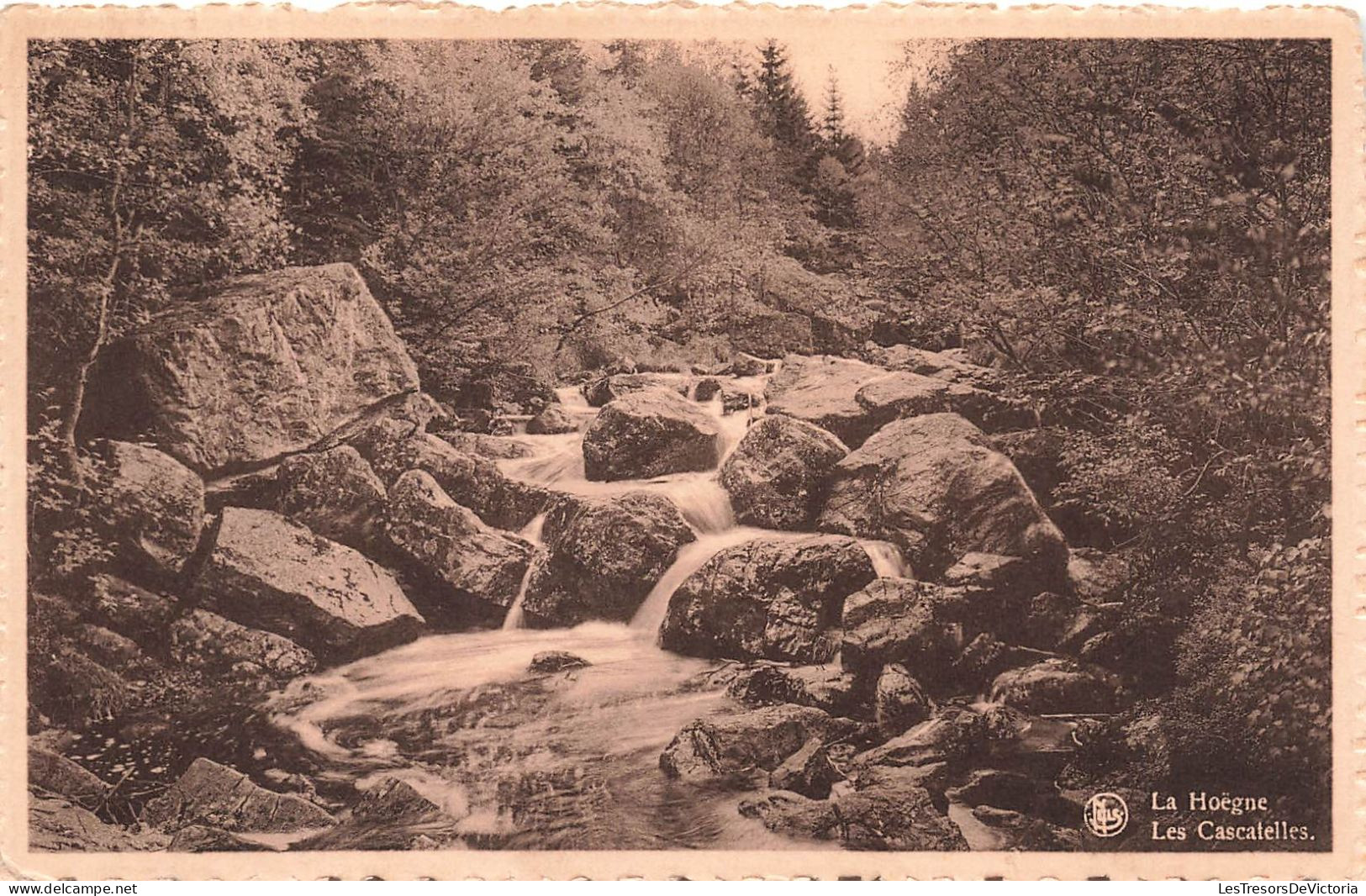 BELGIQUE - La Hoëgne - Vue Sur Les Cascatelles - Carte Postale Ancienne - Waimes - Weismes