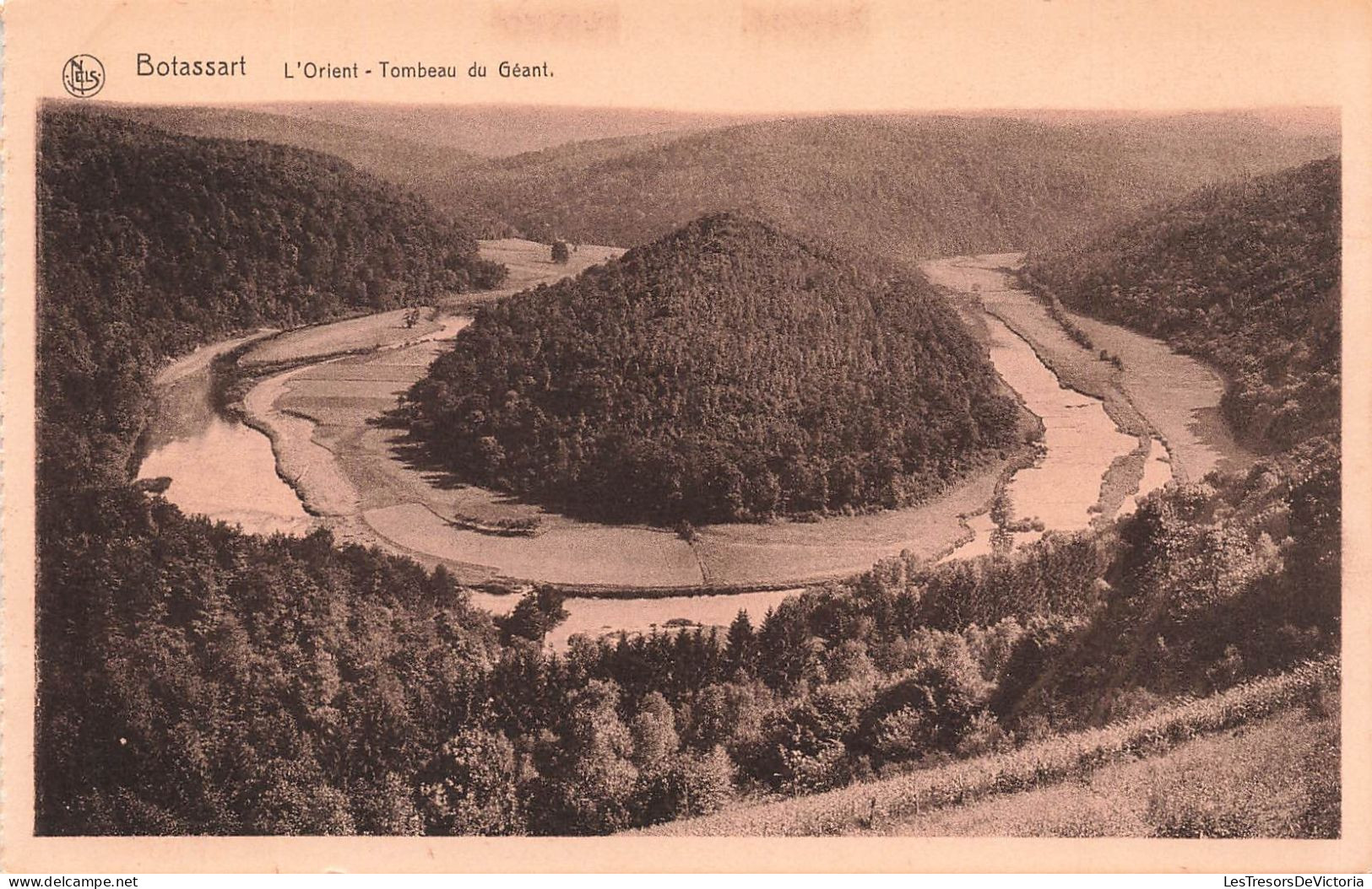 BELGIQUE - Botassart - L'Orient - Vue Sur Le Tombeau Du Géant - Vue Générale - Forêt - Carte Postale Ancienne - Bouillon