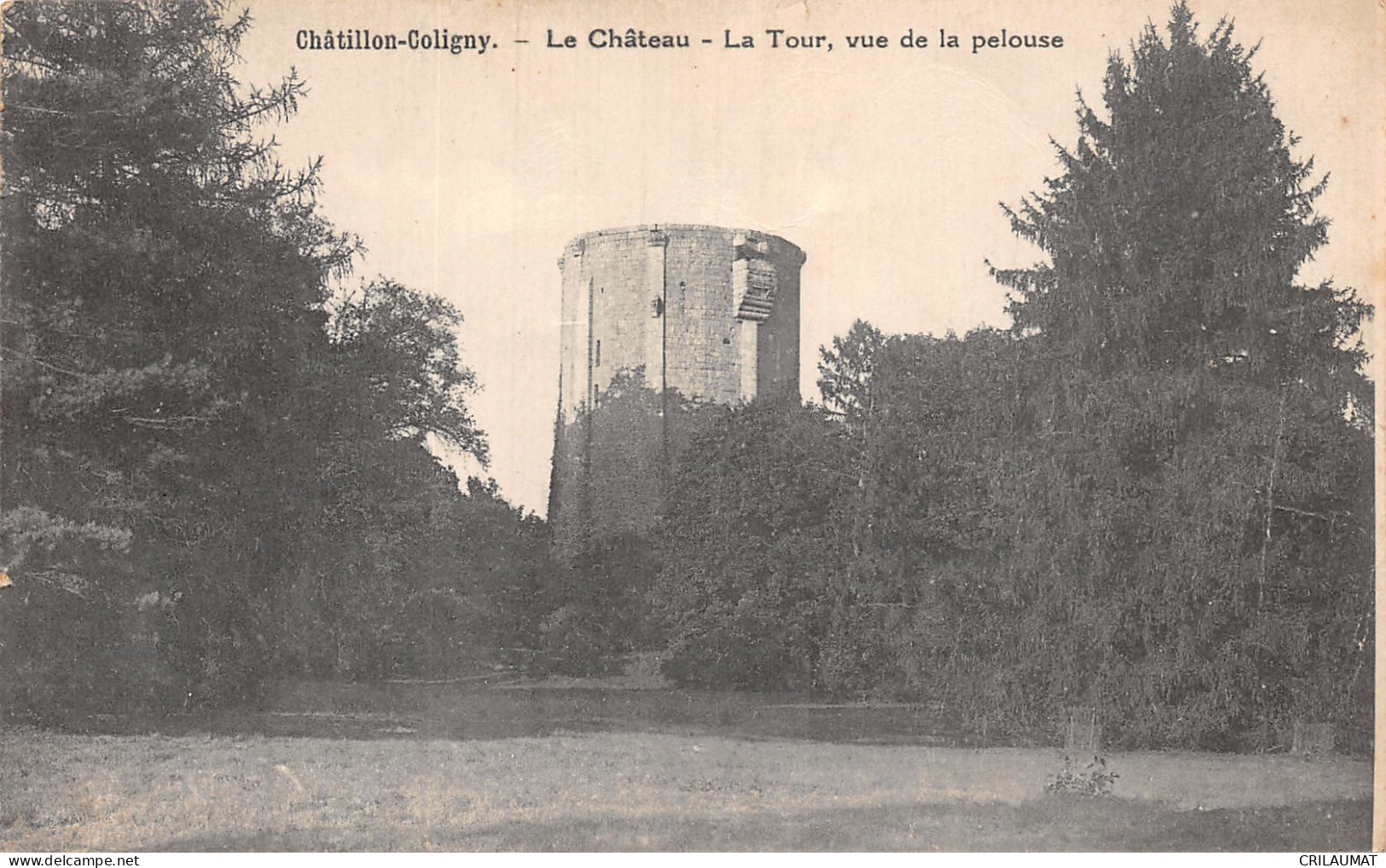 45-CHATILLON COLIGNY-N°LP5013-F/0091 - Chatillon Coligny