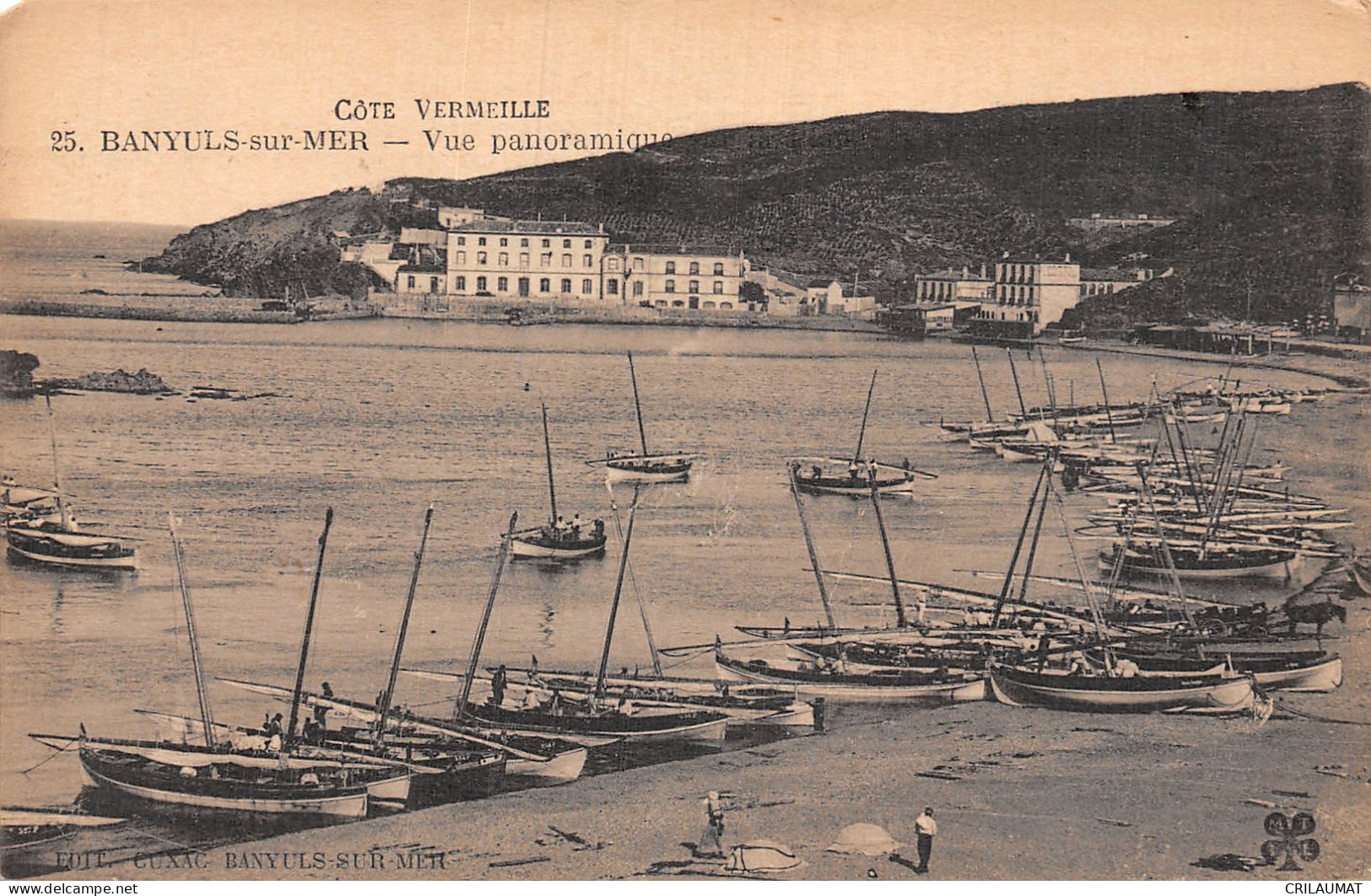 66-BANYULS SUR MER-N°LP5016-E/0283 - Banyuls Sur Mer