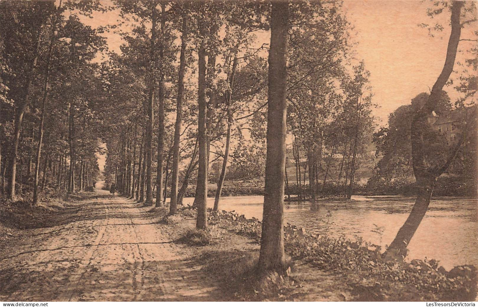 BELGIQUE - Rixensart - Château Du Prince Félix De Mérode - Carte Postale Ancienne - Rixensart