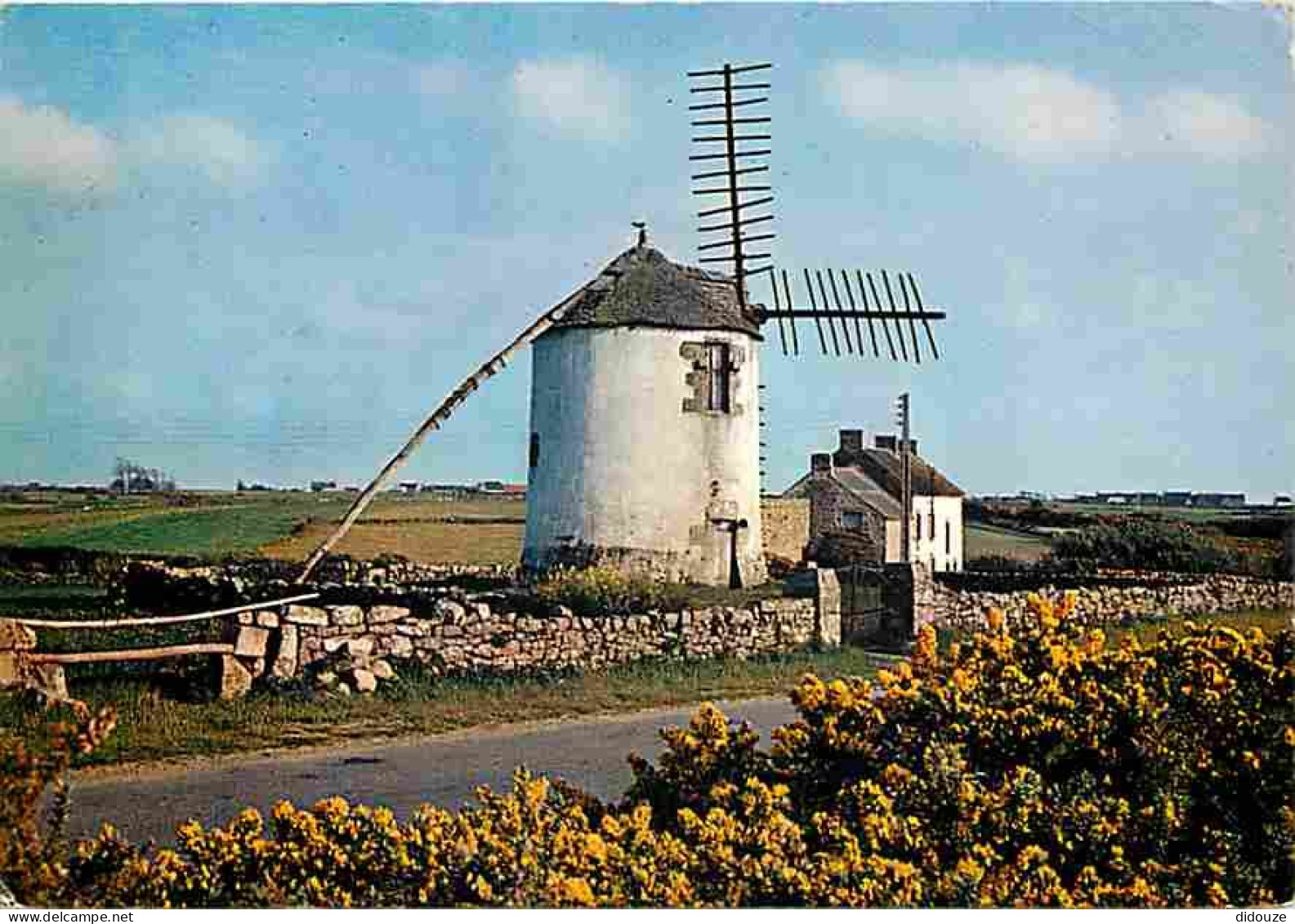 56 - Erdeven - Narbon - Moulin à Vent - Flamme Postale - CPM - Voir Scans Recto-Verso - Erdeven