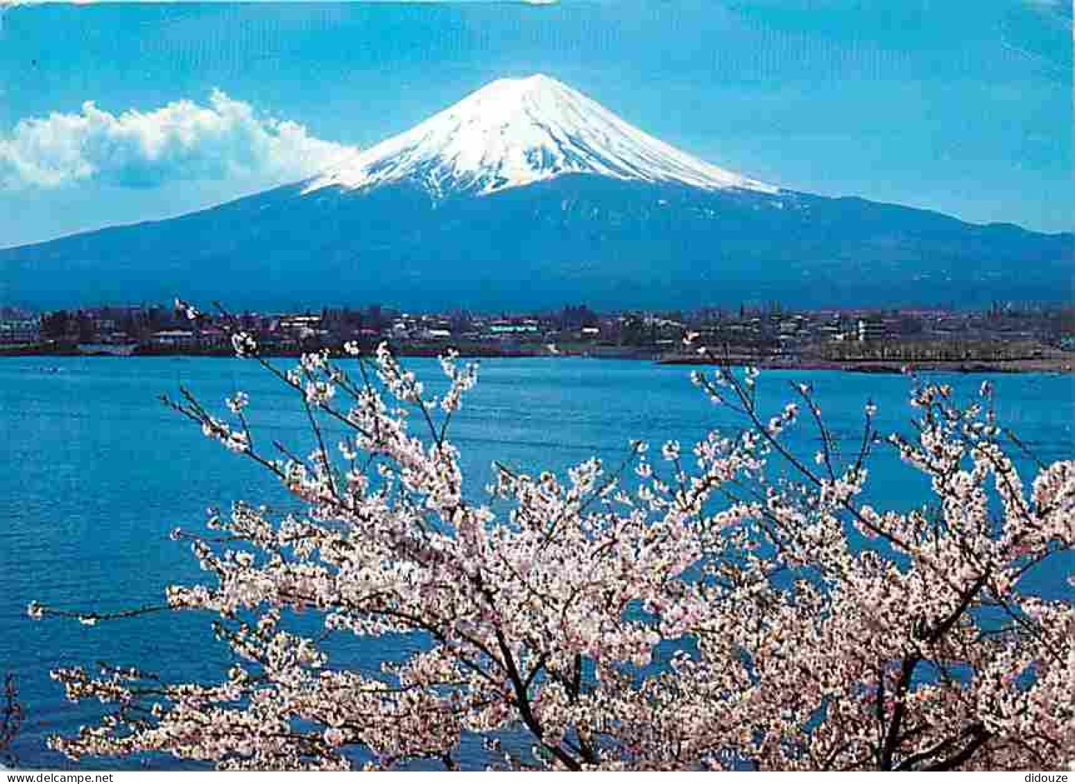 Japon - Mont Fuji - And Cherry Blossoms - Voir Timbre - CPM - Voir Scans Recto-Verso - Sonstige & Ohne Zuordnung