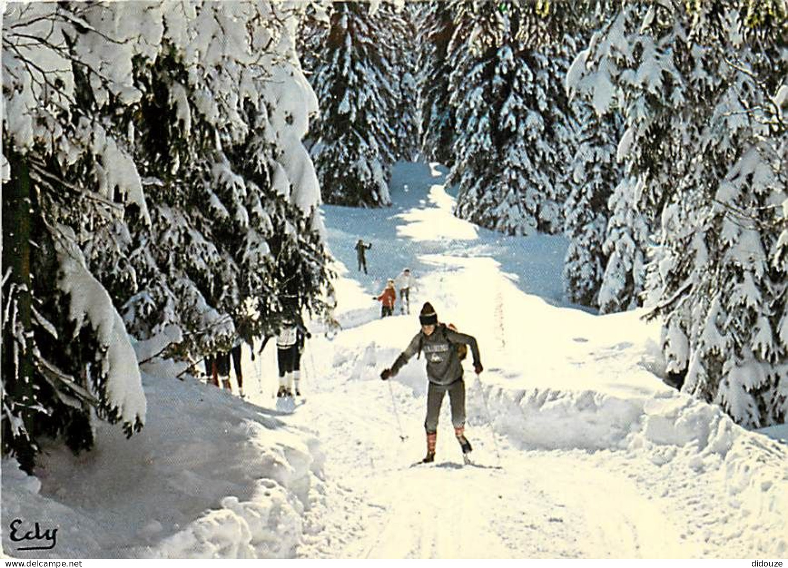 Sport - Sports D'Hiver - Ski - CPM - Voir Scans Recto-Verso - Sports D'hiver