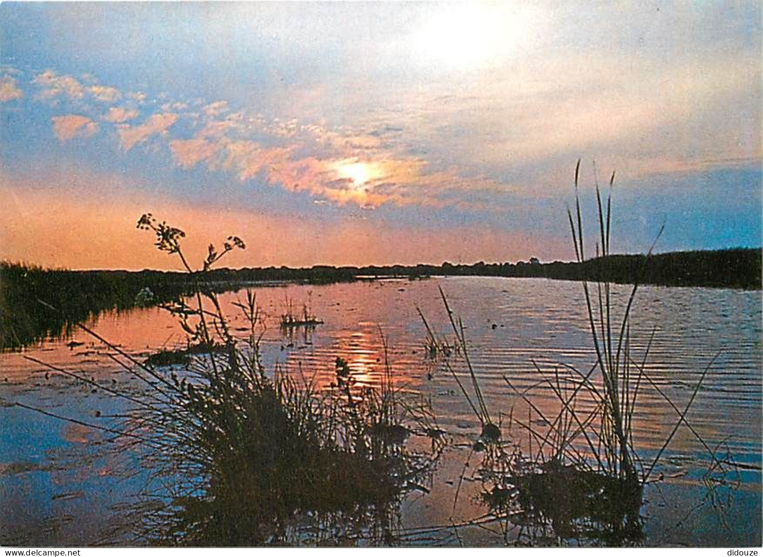 Coucher De Soleil - CPM - Voir Scans Recto-Verso - Contre La Lumière