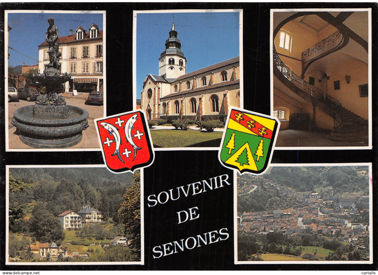 88-SENONES-N°4136-A/0017 - Senones