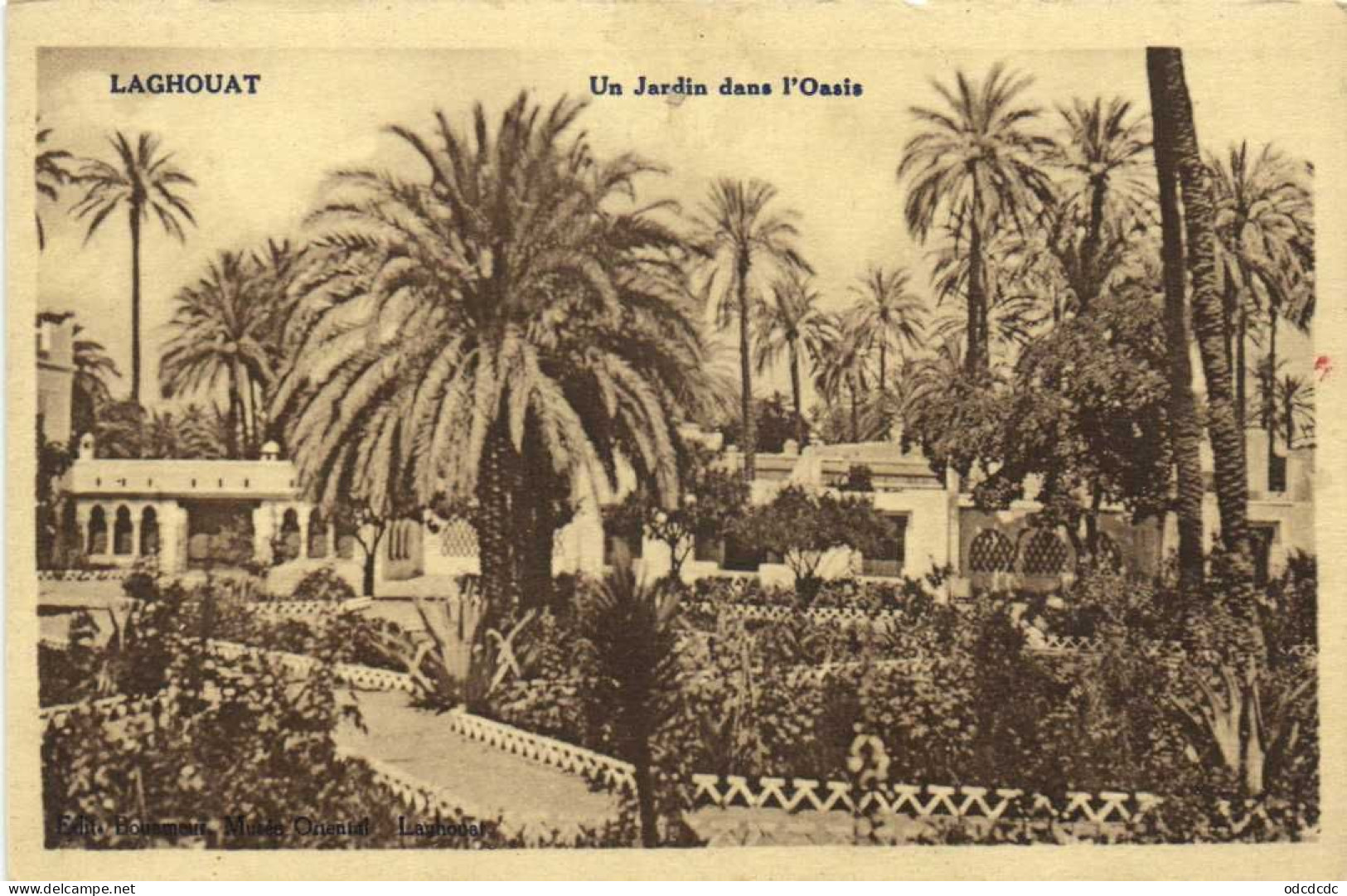 LAGHOUAT  Un Jardin Dans L'Oasis RV - Laghouat