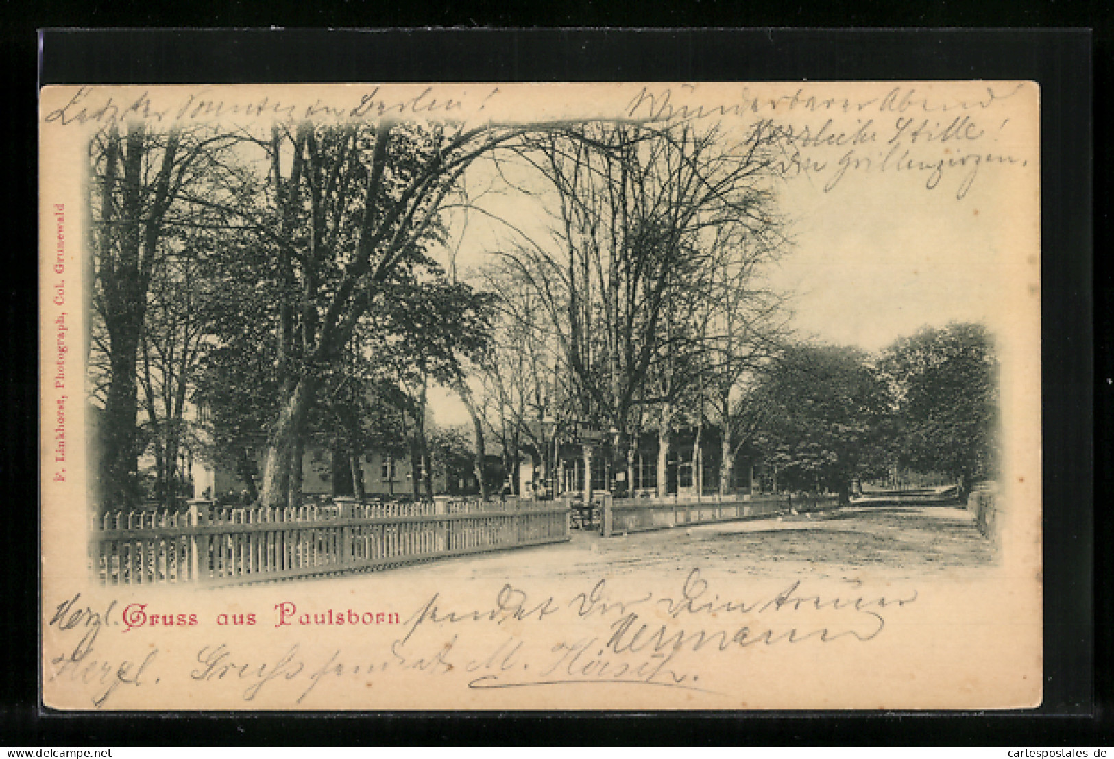 AK Berlin-Grunewald, Partie Am Gasthof Paulsborn  - Grunewald