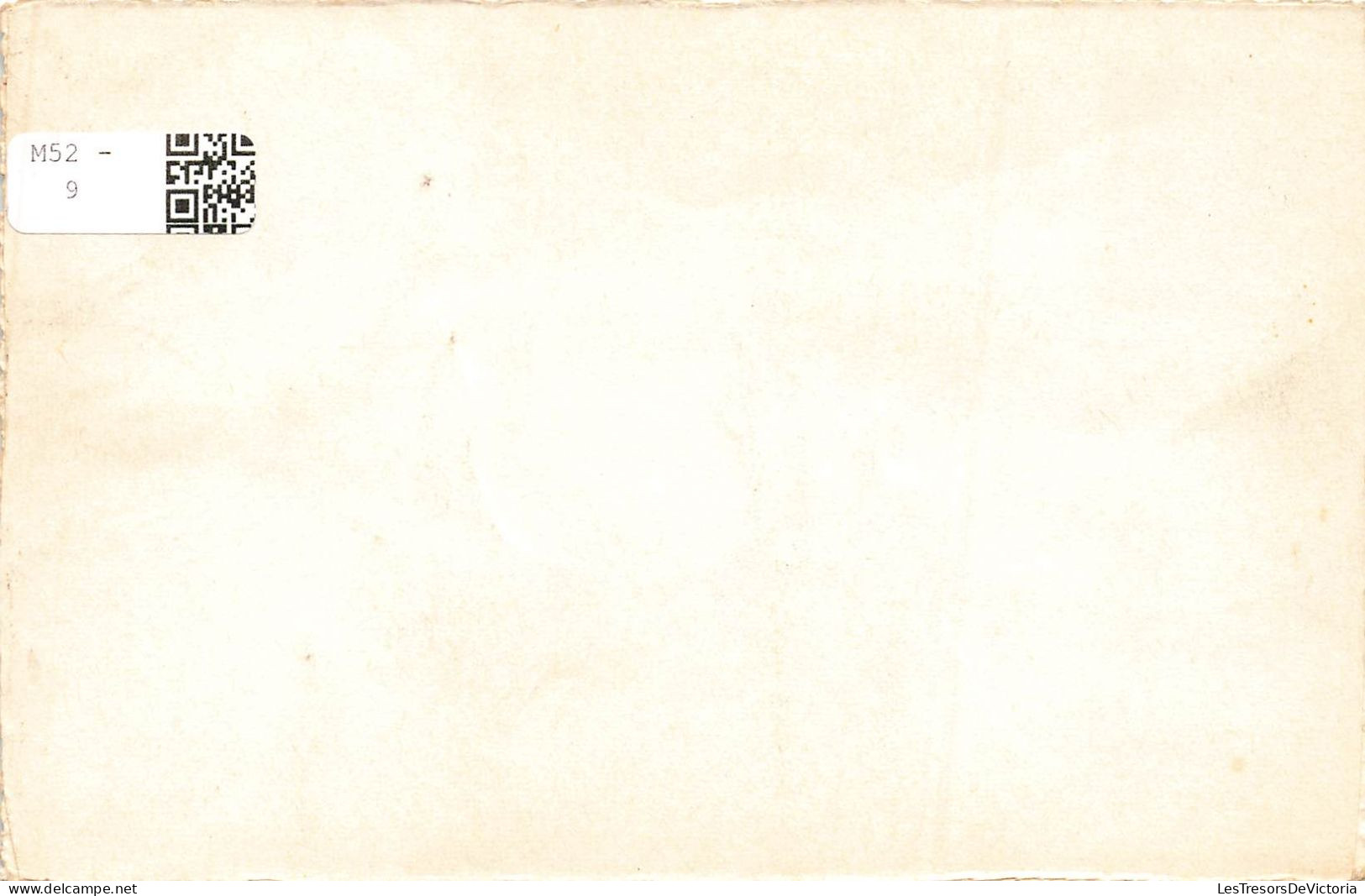 BELGIQUE - Stoumont - Vallée De L'Amblève - Fonds De Quarreux - Colorisé - Carte Postale Ancienne - Stoumont