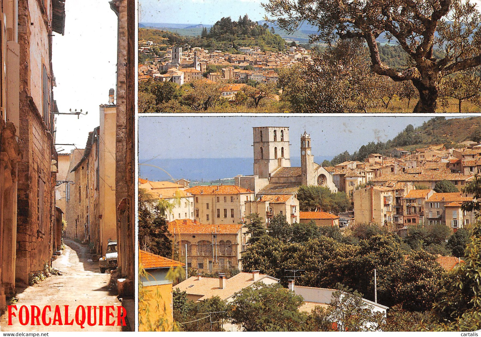 04-FORCALQUIER-N°4142-A/0337 - Forcalquier