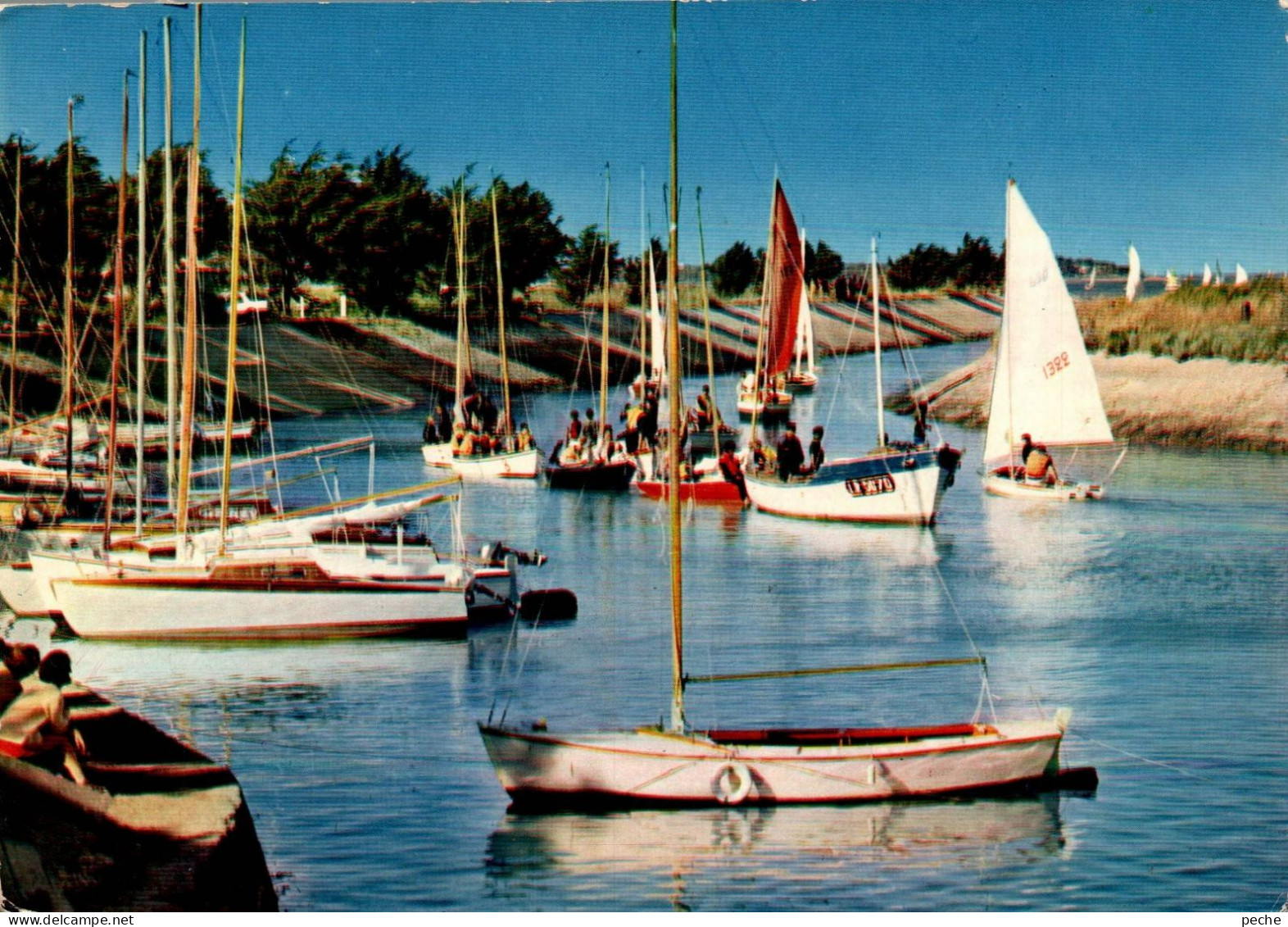 N°889 Z -cpsm île De Ré -école De Voile- - Vela