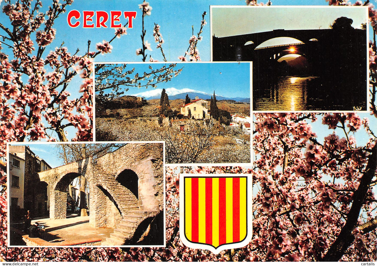 66-CERET-N°4145-C/0343 - Ceret