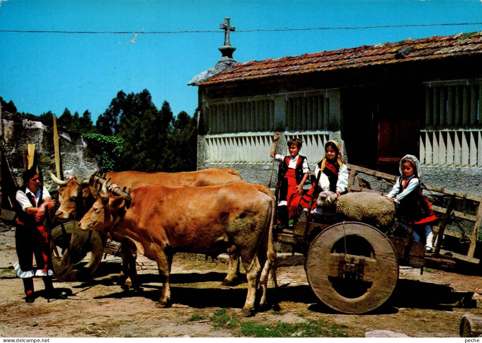 N°890 Z -cpsm Attelage De Boeufs - Attelages