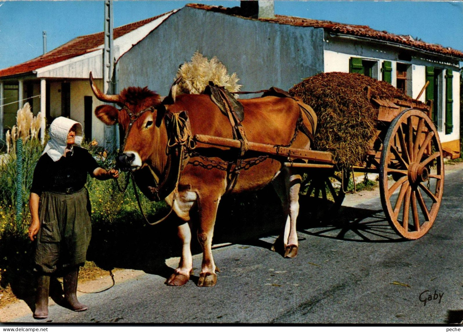 N°891 Z -cpsm île De Ré -attelage- - Equipos