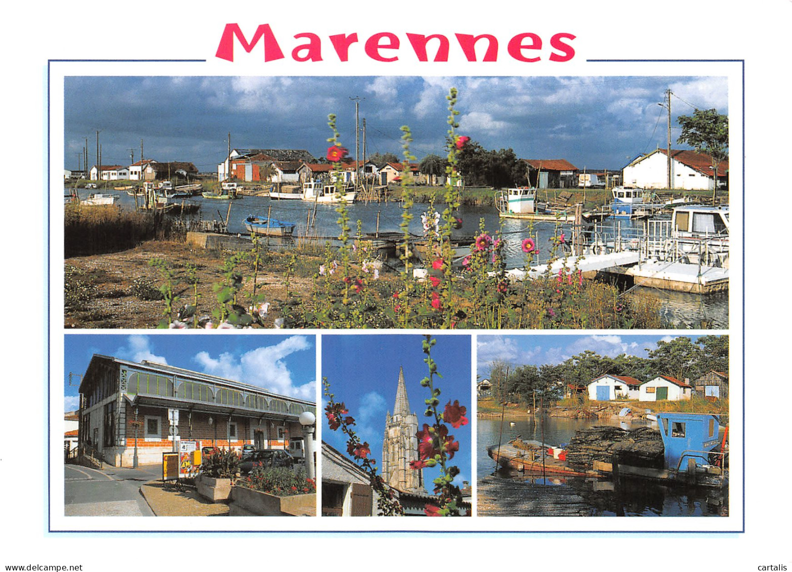 17-MARENNES-N°4146-C/0319 - Marennes