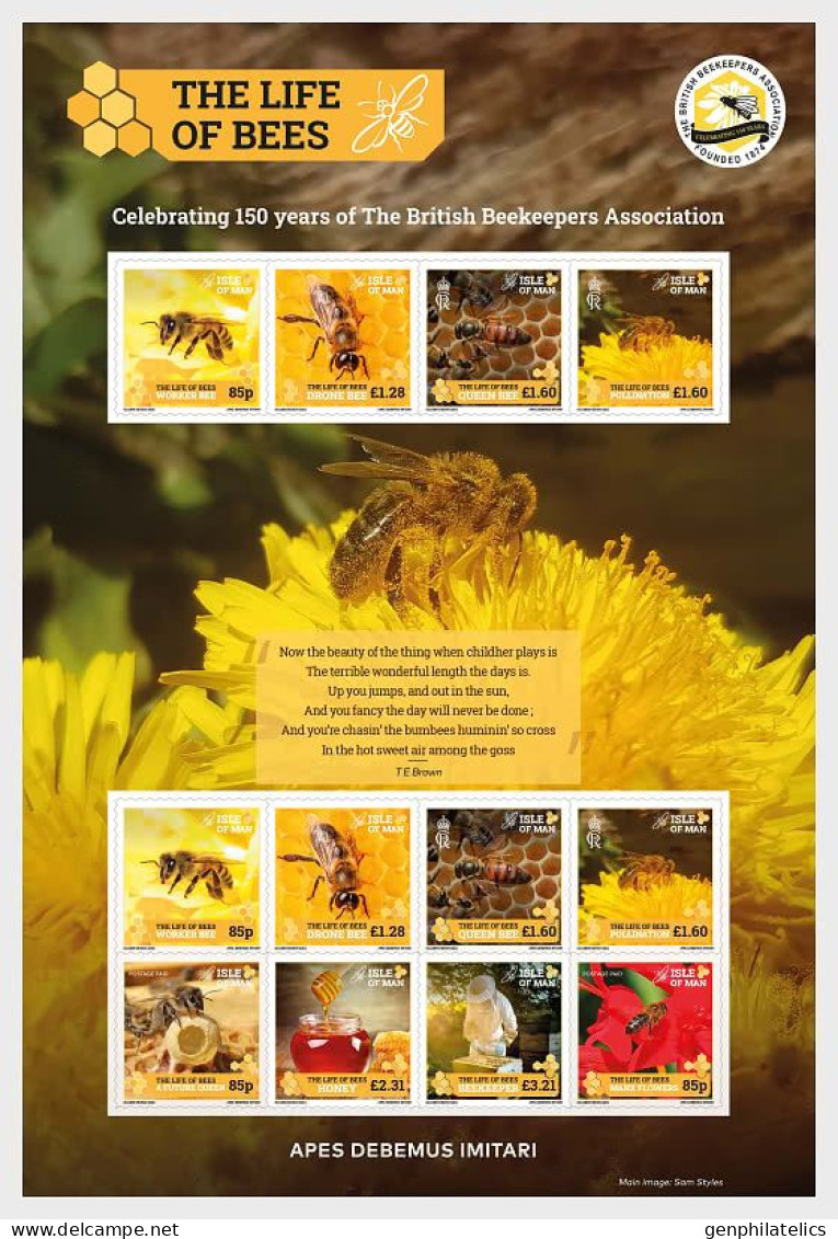 ISLE Of MAN 2024 FAUNA Animals. Insects BEES (Preorder) - Fine Sheet MNH - Isle Of Man