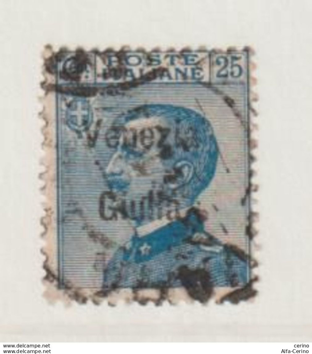 VENEZIA  GIULIA:  1918/19  SOPRASTAMPATO  -  25 C. AZZURRO  US. -  SASS. 24 - Venezia Giulia